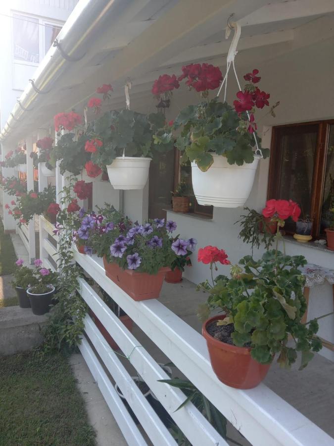 Cazare Turism Prislop Haţeg Exterior foto
