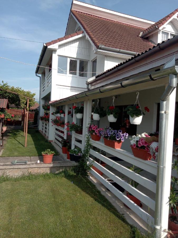 Cazare Turism Prislop Haţeg Exterior foto